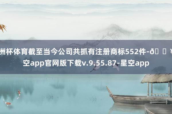 欧洲杯体育截至当今公司共抓有注册商标552件-🔥星空app官网版下载v.9.55.87-星空app