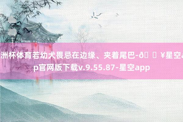 欧洲杯体育若幼犬畏忌在边缘、夹着尾巴-🔥星空app官网版下载v.9.55.87-星空app
