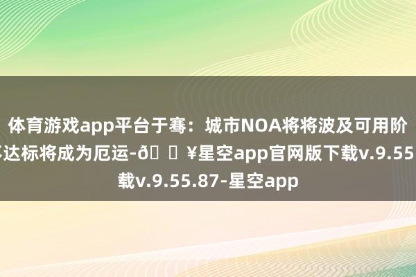 体育游戏app平台于骞：城市NOA将将波及可用阶段，安全性不达标将成为厄运-🔥星空app官网版下载v.9.55.87-星空app