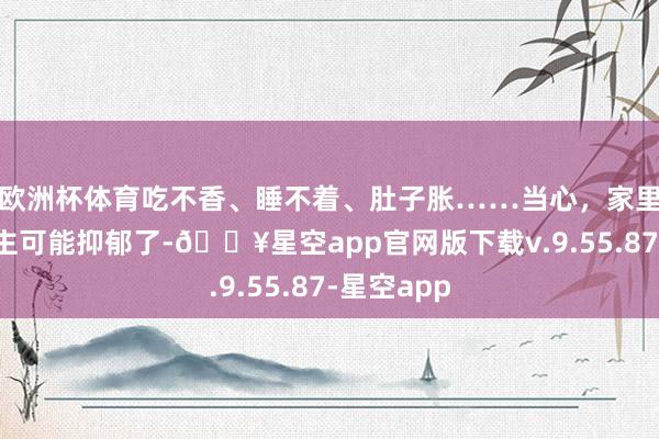 欧洲杯体育吃不香、睡不着、肚子胀……当心，家里老东说念主可能抑郁了-🔥星空app官网版下载v.9.55.87-星空app
