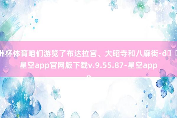 欧洲杯体育咱们游览了布达拉宫、大昭寺和八廓街-🔥星空app官网版下载v.9.55.87-星空app