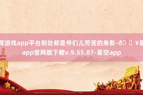 体育游戏app平台到处都是爷们儿劳苦的身影-🔥星空app官网版下载v.9.55.87-星空app