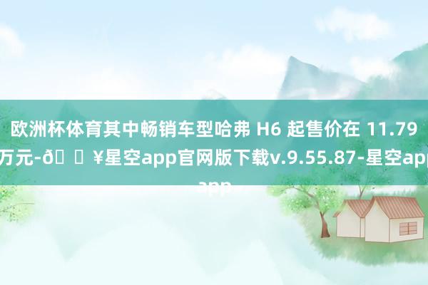 欧洲杯体育其中畅销车型哈弗 H6 起售价在 11.79 万元-🔥星空app官网版下载v.9.55.87-星空app