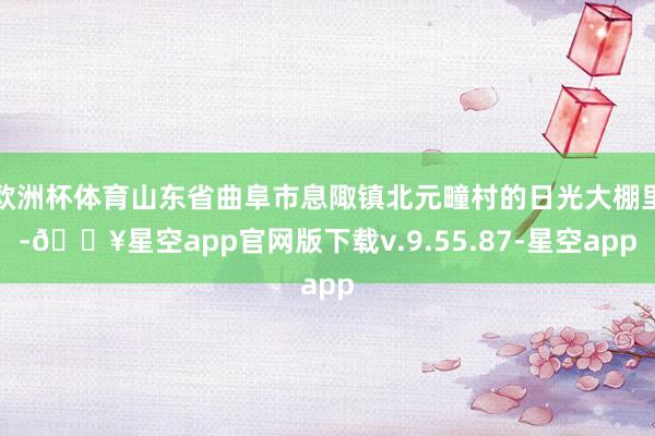 欧洲杯体育山东省曲阜市息陬镇北元疃村的日光大棚里-🔥星空app官网版下载v.9.55.87-星空app