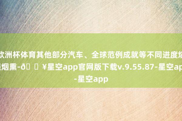 欧洲杯体育其他部分汽车、全球范例成就等不同进度烧损烟熏-🔥星空app官网版下载v.9.55.87-星空app